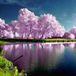 Natural Wallpapers 2013 - High Definition Wallpapers - HD wallpaper s
