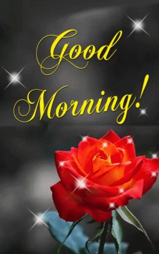 Good Morning SMS | Good Morning Text messages in GIF
