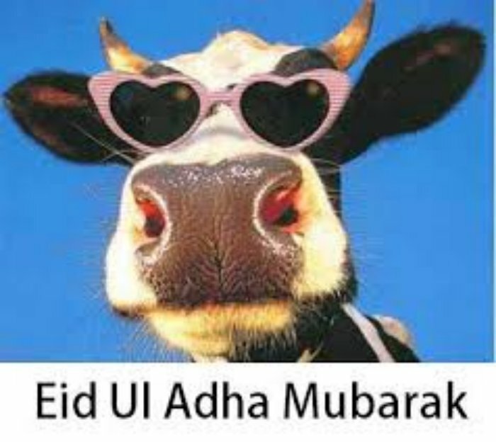 Eid Ul Adha Sms 2013 Wallpapers