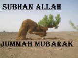 Amazing Photos- Jumma Mubarak Mubarak to All Muslims