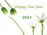Latest Happy New Year 2014 HD Wallpapers Photos Images (10)