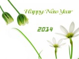 Latest Happy New Year 2014 HD wallpapers (5)