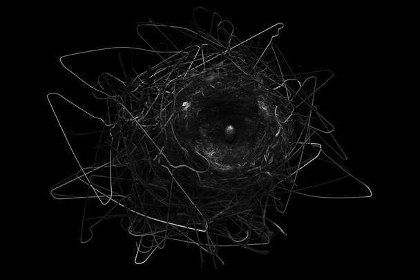 Crows Nest, Photo and caption by Yosuke Kashiwakura
