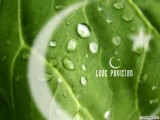 Pakistan Day Wallpapers Gallery - 23 March