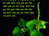 Flowers with Quotes 2014 - 0002