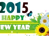 Elegant New Year 2015 HD wallpapers Free Download (2)