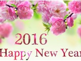 Happy New Year 2016 Images, Wallpaper, Pictures, Photos