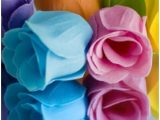 Download Cute Colors Flowers Mobiles Wallpaper
