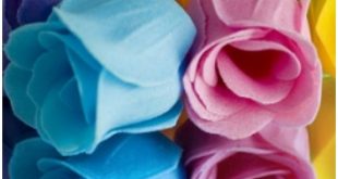 Download Cute Colors Flowers Mobiles Wallpaper