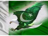 Pakistan National Flag HD