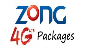 Zong Daily 3G / 4G Package (Daily Basic) Urdu