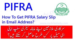 Online Payslip All Govt of Punjab Employees in Urdu