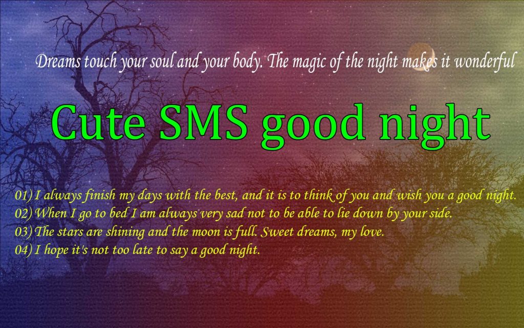 New 30+ Cute Good Night SMS for friends. 