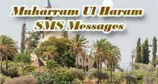 Best Muharram SMS, Quotes, Wallpapers, Images and Status
